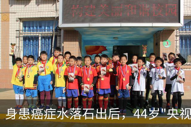 身患癌症水落石出后，44岁"央视名嘴"杨帆，如今换了另一条路走